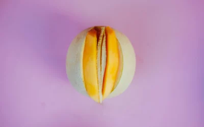 This Vaginal Vestibule Discovery Changed My Physical Therapy Practice