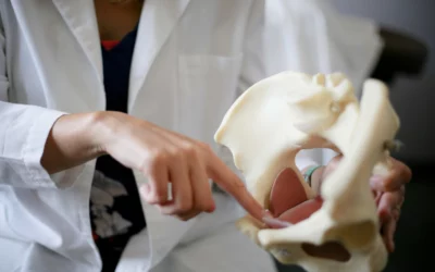 Can You Name the 5 “S” Functions of the Pelvic Floor?