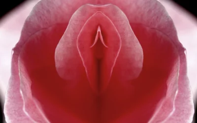 Having Difficulty Reaching Orgasm? You’re Not Alone.